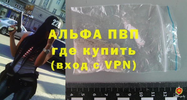 прущие грибы Володарск