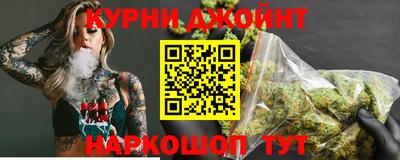 сатива Будённовск