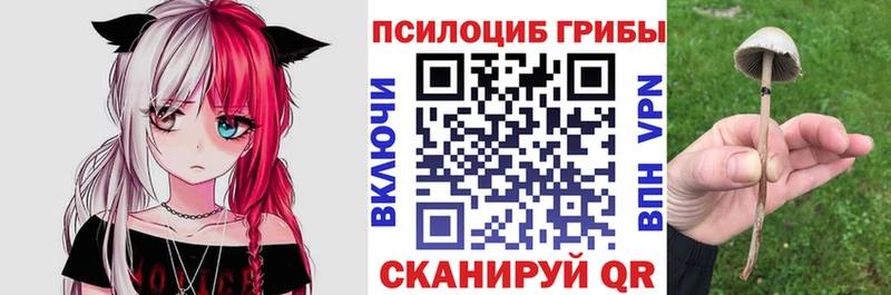 Псилоцибиновые грибы MAGIC MUSHROOMS  Бийск 