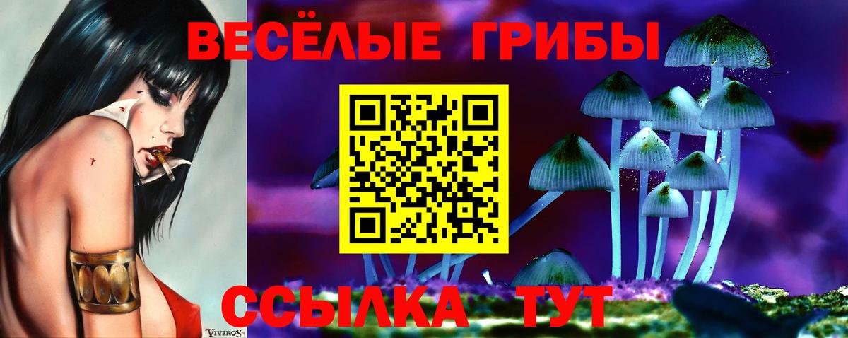 Псилоцибиновые грибы Magic Shrooms Бийск